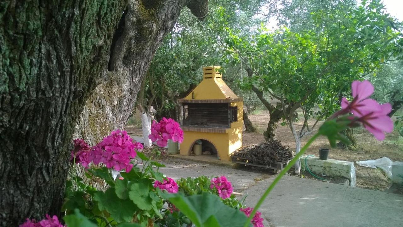 Casa Dyonisia Tsilivi Aparthotel Planos  Bagian luar foto