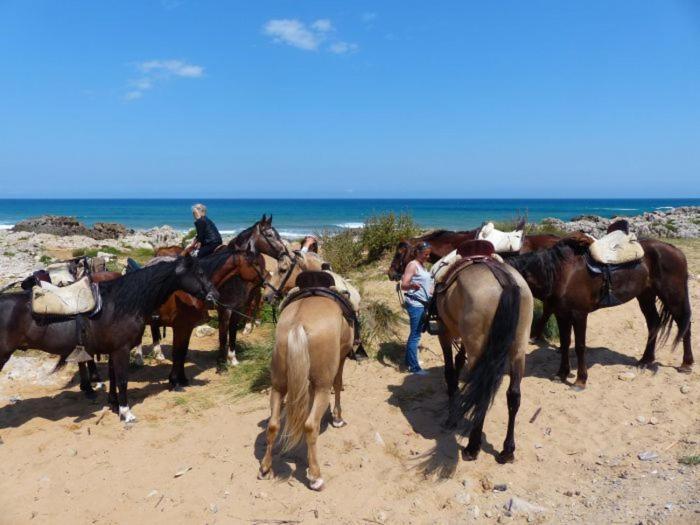Casa Dyonisia Tsilivi Aparthotel Planos  Bagian luar foto