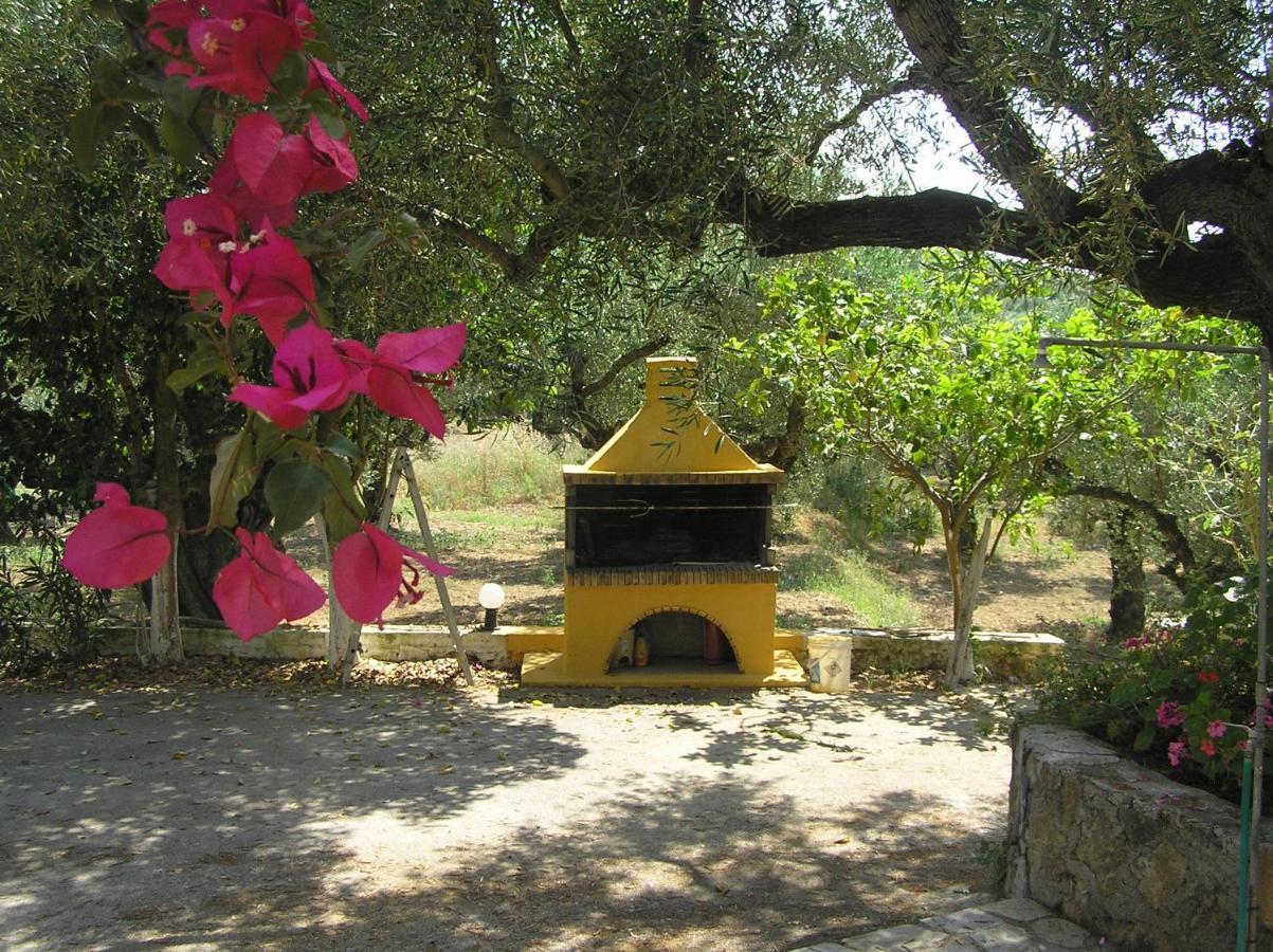 Casa Dyonisia Tsilivi Aparthotel Planos  Bagian luar foto