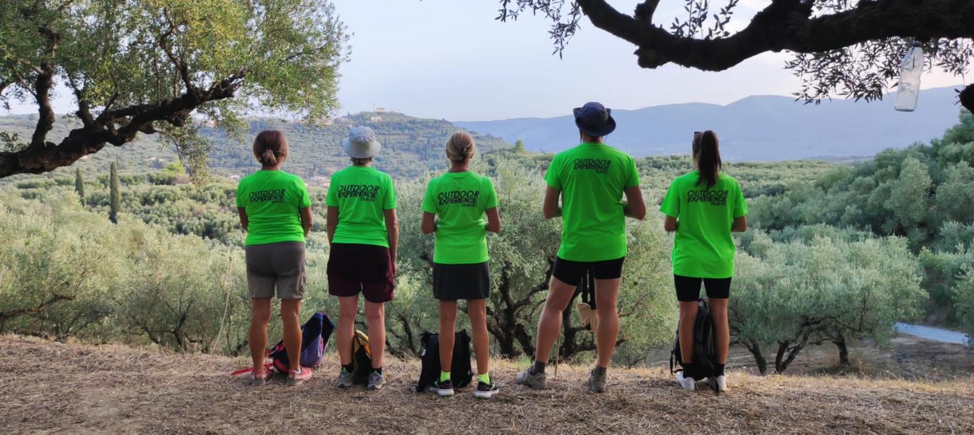 Casa Dyonisia Tsilivi Aparthotel Planos  Bagian luar foto