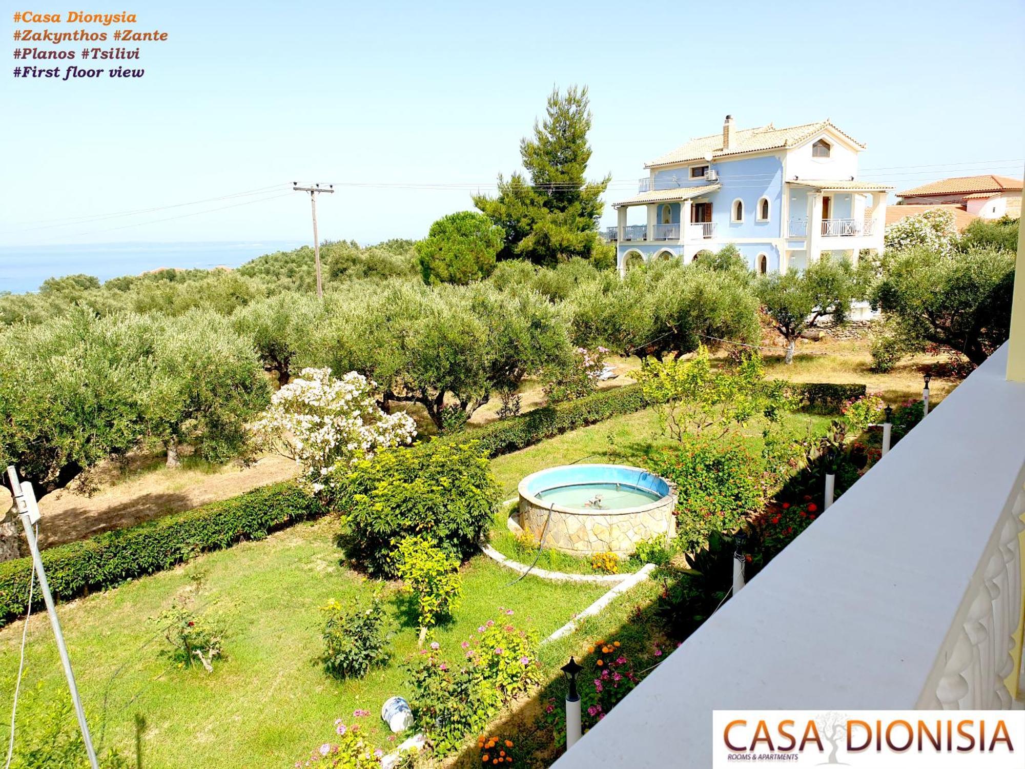 Casa Dyonisia Tsilivi Aparthotel Planos  Bagian luar foto