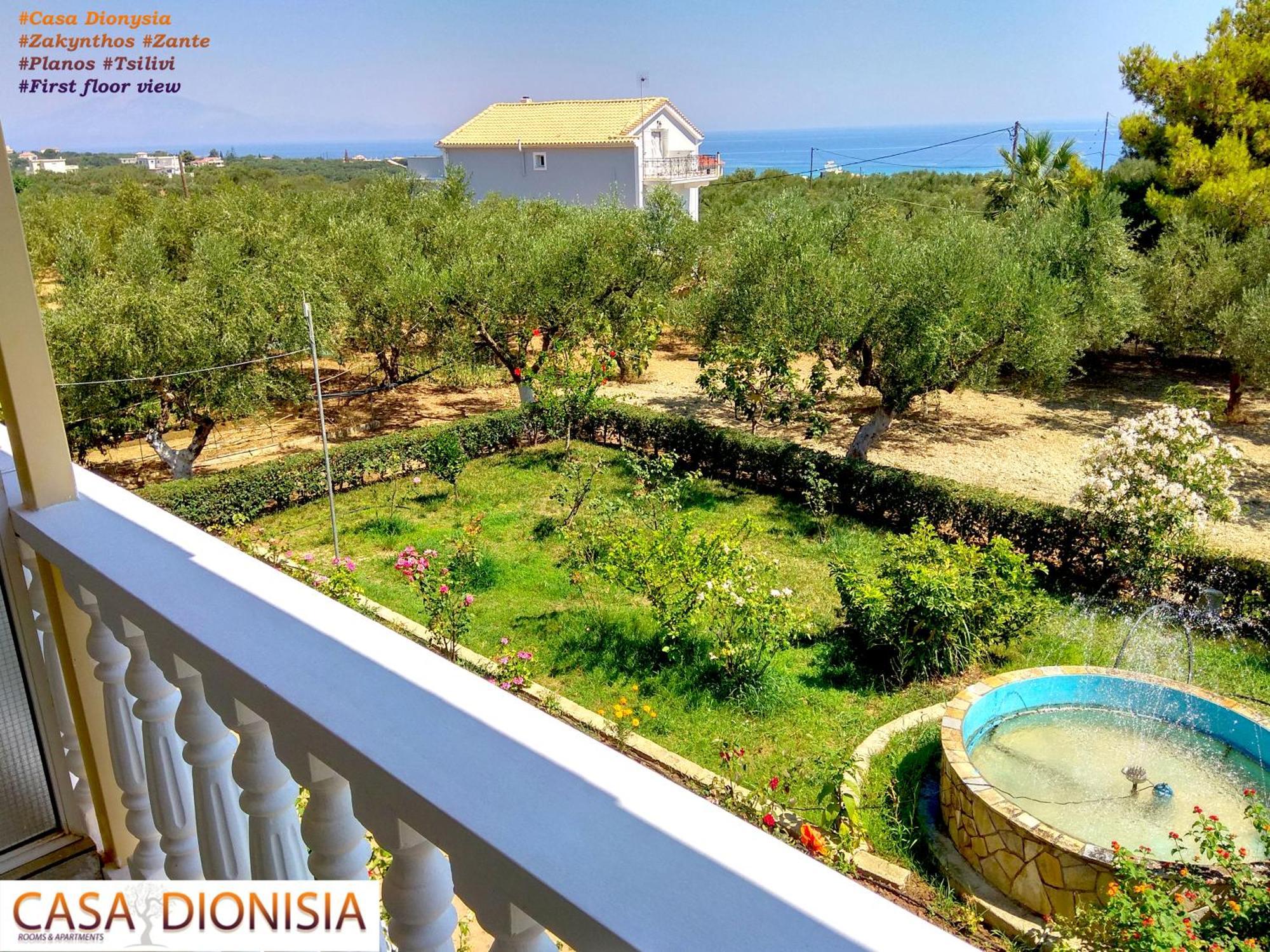 Casa Dyonisia Tsilivi Aparthotel Planos  Bagian luar foto